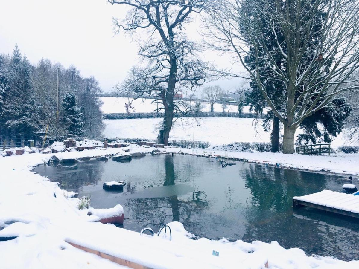Mid-Wales Farmhouse, Swimming Pool, Tranquil Countryside Views, Sleeps 14 Meifod Экстерьер фото