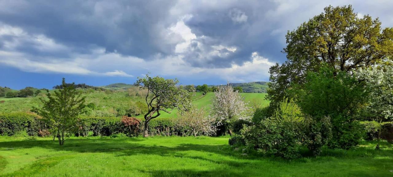 Mid-Wales Farmhouse, Swimming Pool, Tranquil Countryside Views, Sleeps 14 Meifod Экстерьер фото