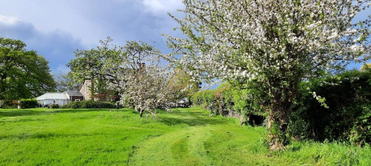 Mid-Wales Farmhouse, Swimming Pool, Tranquil Countryside Views, Sleeps 14 Meifod Экстерьер фото